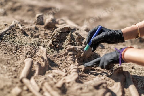 Preview: Archaeological Dig Unearthing Human Remains with Care