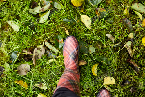 Preview: Top view of bright red rubber boots on the grass with autumn leaves