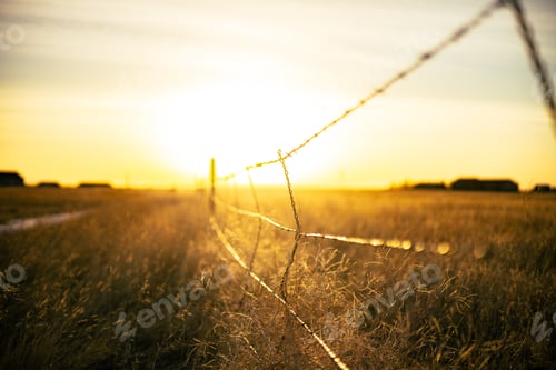 Preview: Fence with barbed wires in the bright background of sunrise