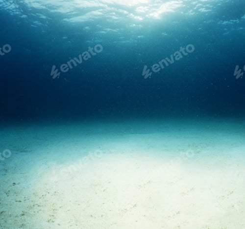 Preview: ocean underwater