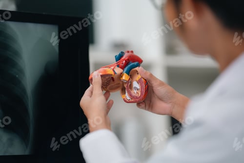 Preview: Cardiologist Providing Comprehensive Health Care, Patient Exams Diagnosing Cardiac Diseases