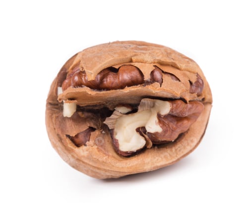 Preview: Close up of walnut