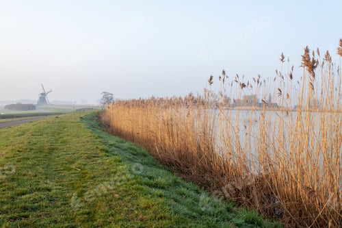 Preview: Scenery of a lake in the middle of the field covered in fog in Holland