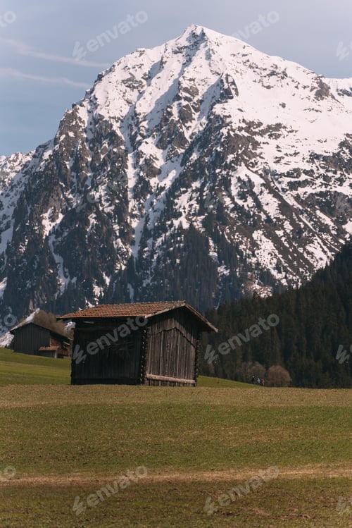 Preview: Wooden mountain hut standing on green meadow with snowy mountain peak in the background