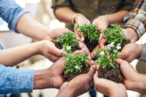Preview: Growth happens when we work together as one