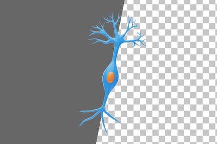 Preview: Bipolar Neuron 3D Icon