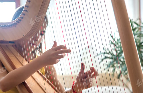 Preview: The child plays the harp. Selective focus.