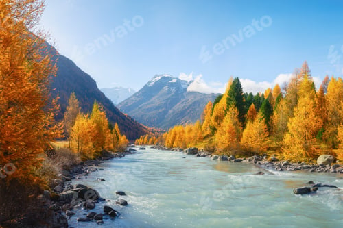 Preview: Autumn landscape in Switzerland. Sunrise in the mountains. Fog and fall forest.
