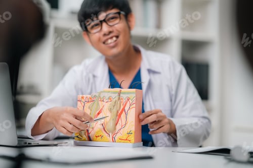 Preview: Dermatologist explaining skin structure using a medical model to diagnose and understand