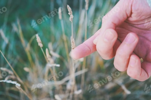 Preview: Man's hand touching a fragile spike