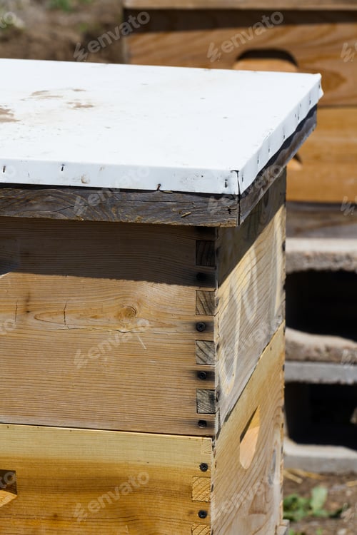 Preview: Beekeeping
