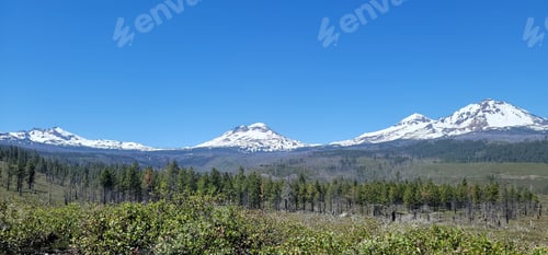 Preview: Aerial view of mountain landscape surrounded by dense trees