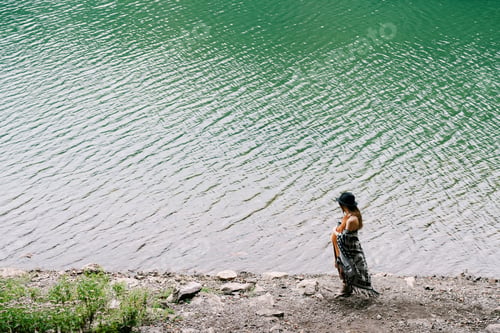Preview: Pregnant woman stands by the lake in the park. Top view