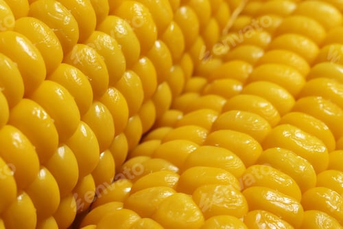 Preview: Cooked corn, healthy vegan snack