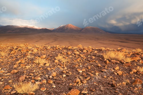 Preview: Northern Chile