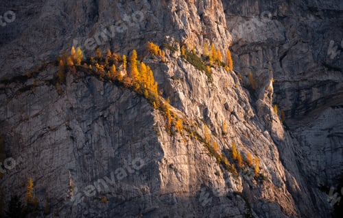 Preview: Autumn larches in the mountains