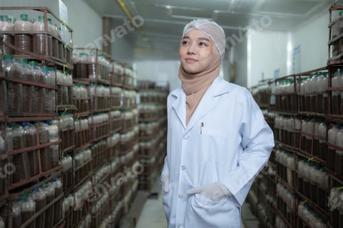 Preview: Portrait of young asian muslim female scientist doing research at a mushroom factory,