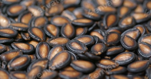 Preview: Black watermelon seed