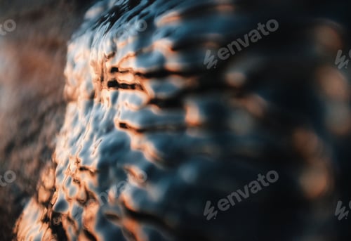 Preview: abstract texture of an ice frozen on a rock