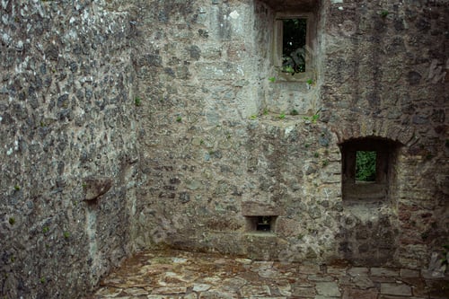 Preview: Old abandoned stone building with windows against green trees