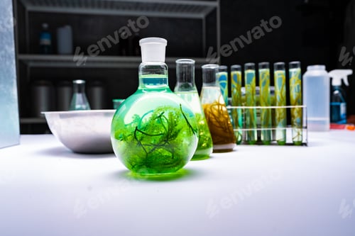 Preview: green alga laboratory research, alternative biofuel energy technology, biotechnology concept