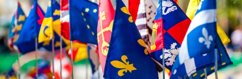 Preview: Number of flags of France on a stick