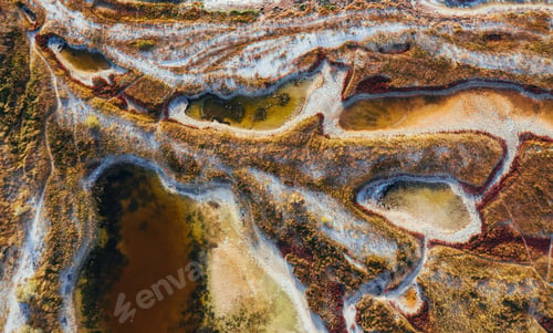 Preview: Plants and trees on the surface. Aerial view of majestic landscapes of Jarilgach island in Ukraine