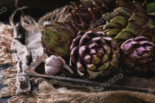 Preview: Uncooked purple artichokes