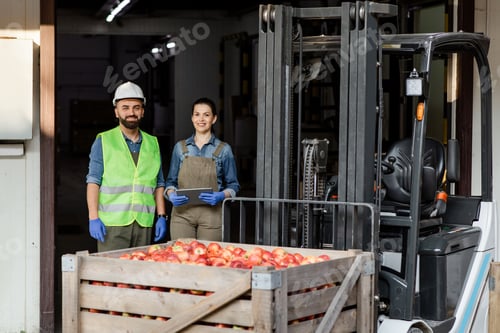 Preview: Forklift truck loading with full containers. Fruits and food distribution to market