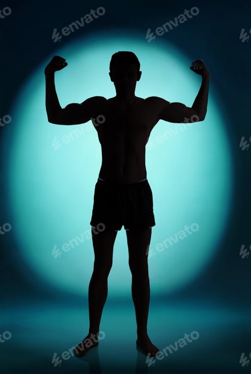 Preview: Silhouette Of The Bodybuilder