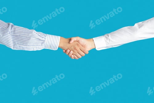 Preview: handshake, successful, congratulating, shaking