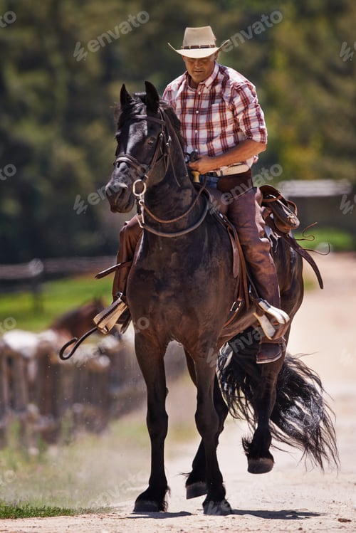 Preview: His horse is his best friend