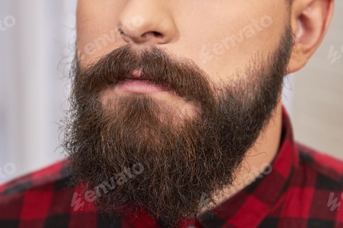 Preview: Beard of a young man