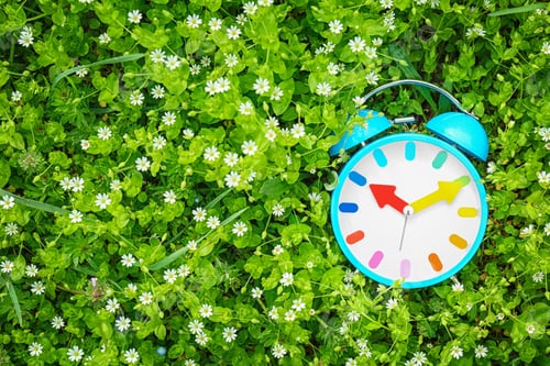 Preview: Alarm clock among flowers, outdoors. Time change concept