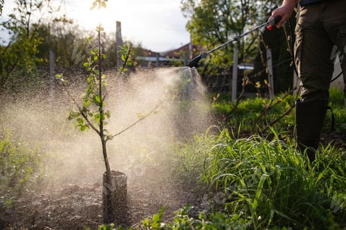 Preview: Farmer spraying fertilizer. Pest control and plant diseases to obtain a large harvest
