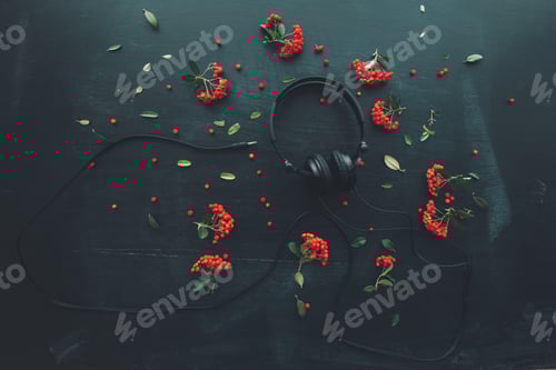 Preview: Flat lay audio headphones on dark background