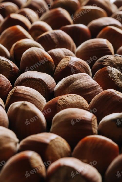 Preview: Closeup of some unopened hazelnuts