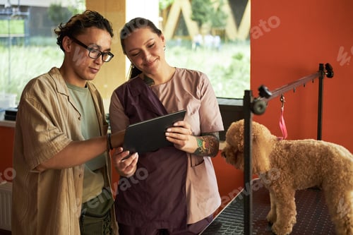 Preview: Young Asian Man and Caucasian Woman Discussing Dog Grooming Procedure Indoors