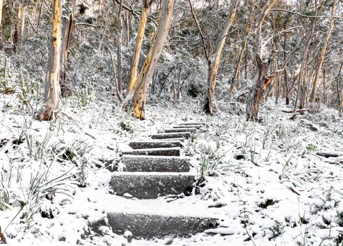 Preview: Stairs in Stockyard Spur Canberra, Australia Namadgi National Park