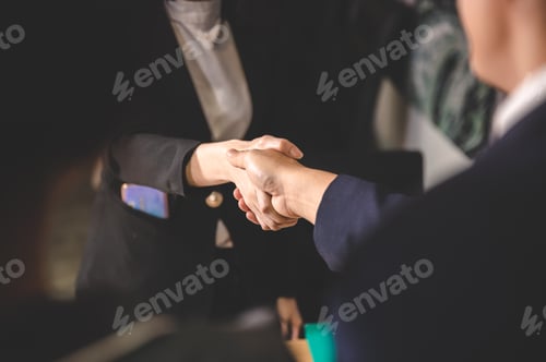 Preview: business people are shaking hand for job interview, handshake for successful to join a work