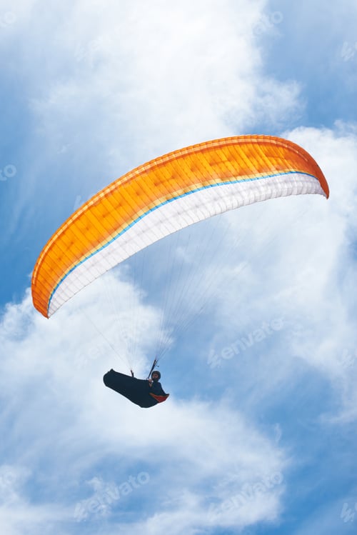 Preview: Freedom in flight