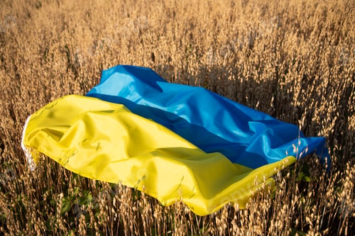 Preview: Food crisis during the war, sanctions concept. Ukraine flag on oat field.