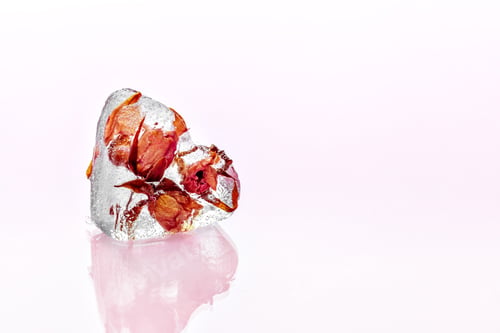 Preview: Frozen rose in ice cube