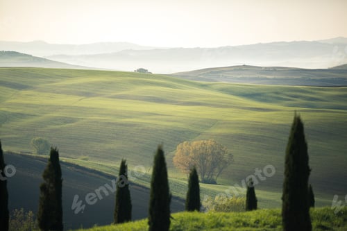 Preview: Beautiful tuscany landscape
