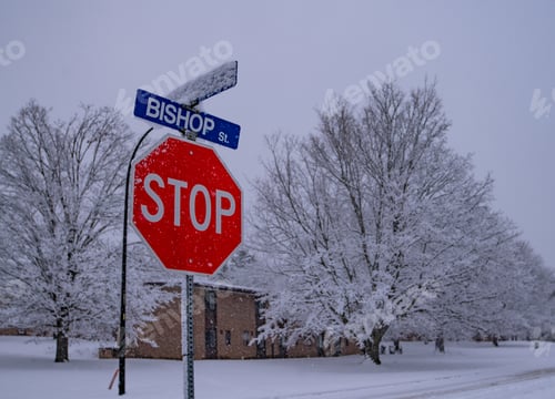 Preview: a stop sign with trees in the background that are white