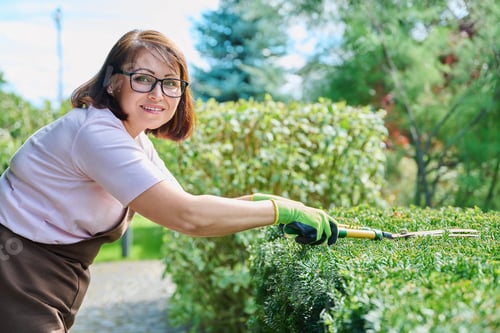 Preview: Woman gardener in apron trims decorative bushes with garden scissors