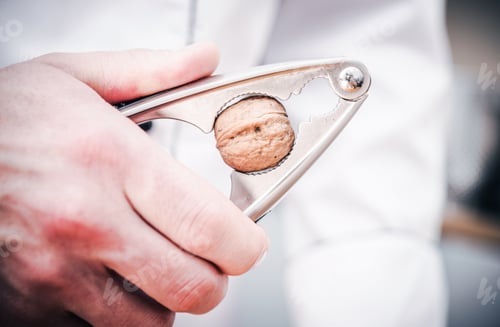 Preview: Walnut Inside Nut Cracker.