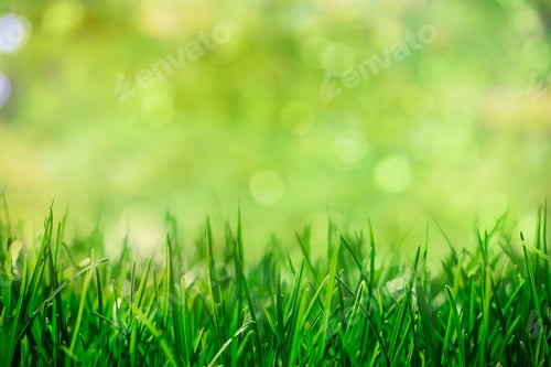 Preview: Green grass background