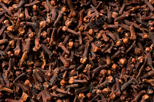 Preview: Clove dried spicy herb for food aroma and natural medicine
