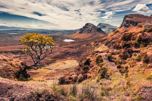Preview: Quiraing in Isle of Skye in summer, Scotland, United Kingdom